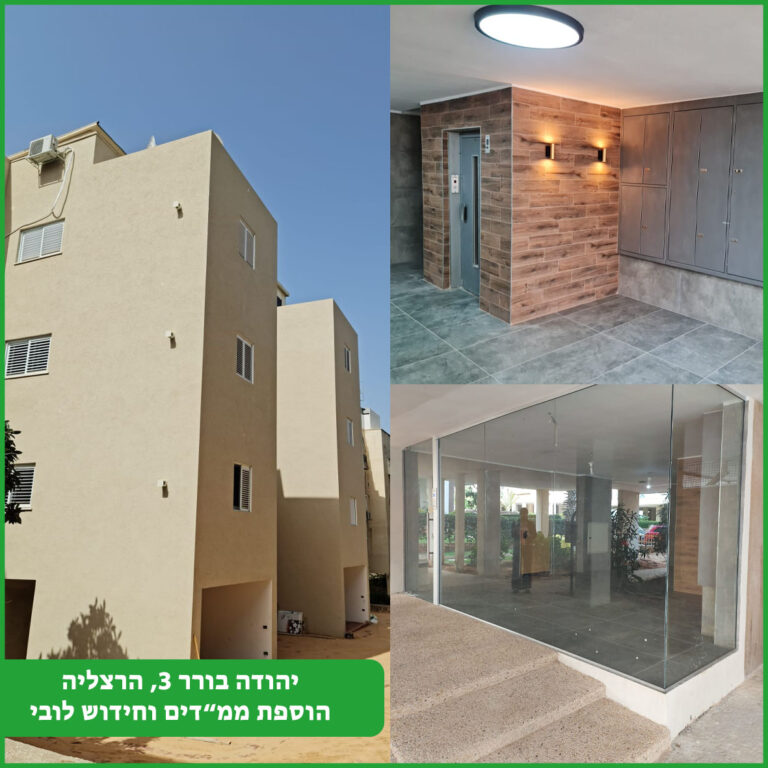 יהודה בורר 3